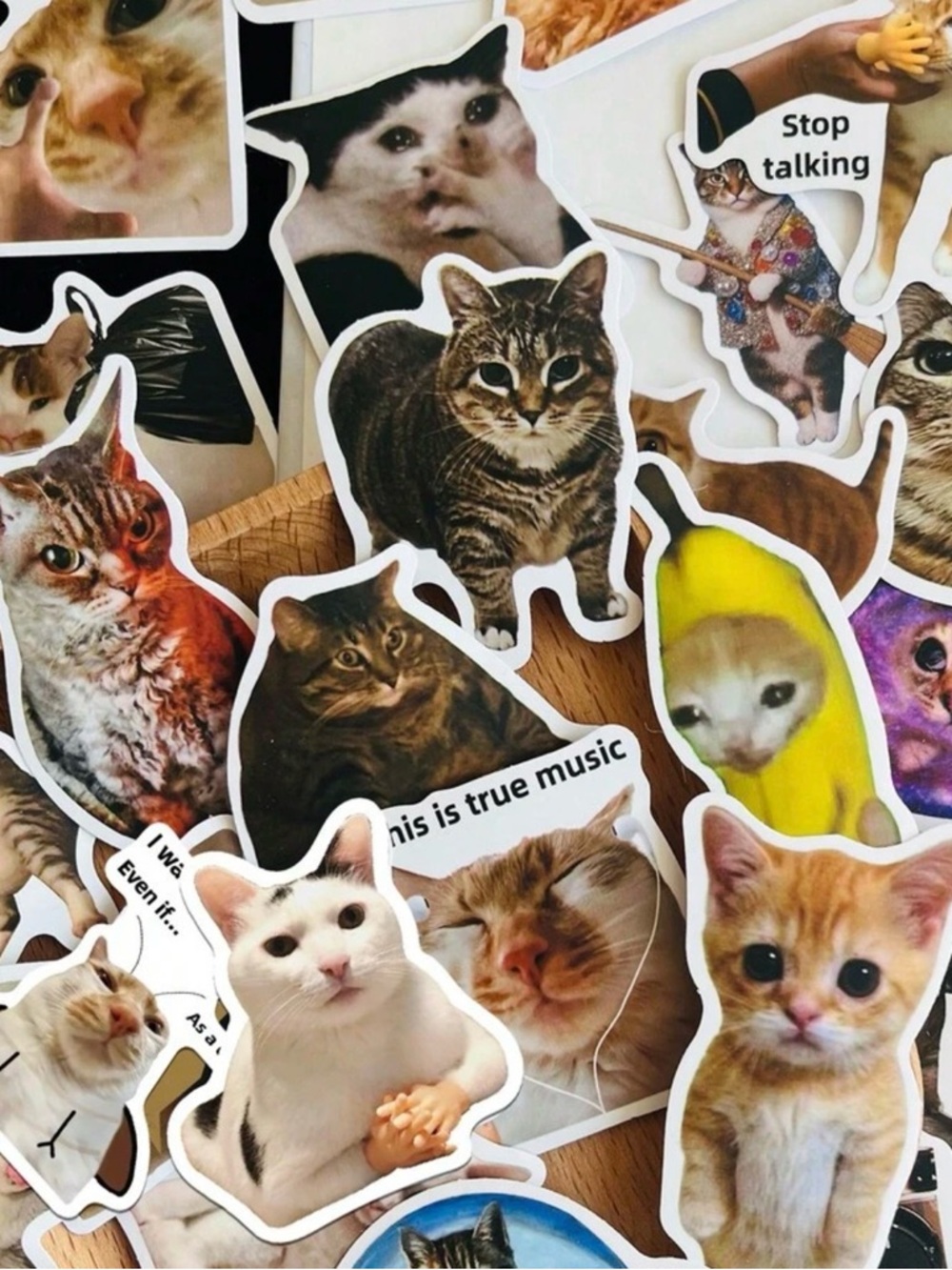 🌈 Funny Cat Stickers 50 Random